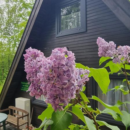 Ferienhaus Marie 125 Bad Arolsen Bagian luar foto