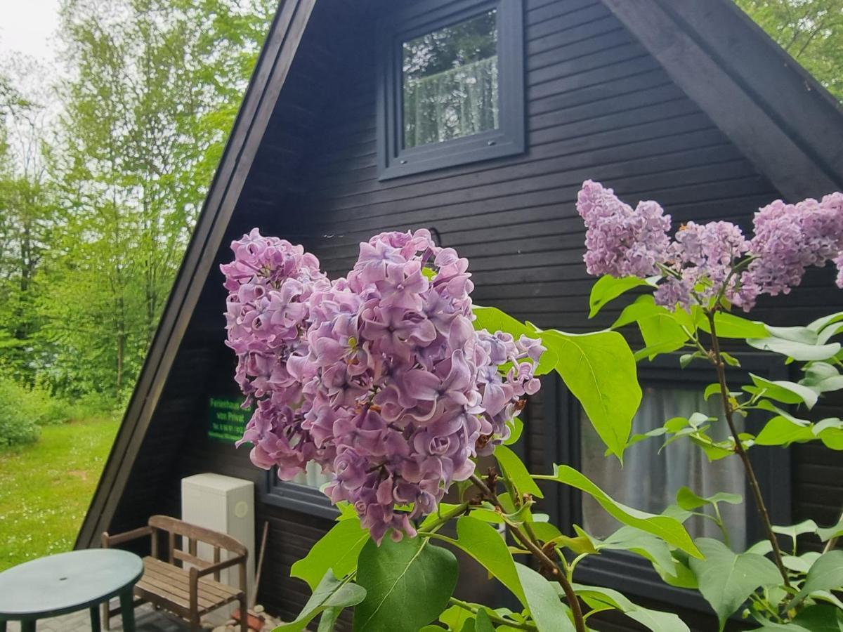 Ferienhaus Marie 125 Bad Arolsen Bagian luar foto